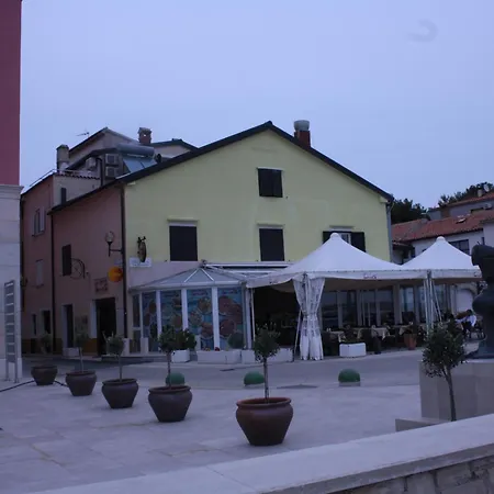 Tomato Novigrad (Istria)