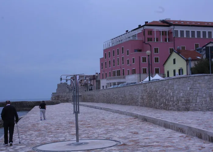 Tomato Novigrad (Istria)