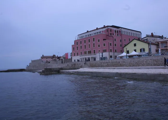 Tomato Novigrad (Istria)