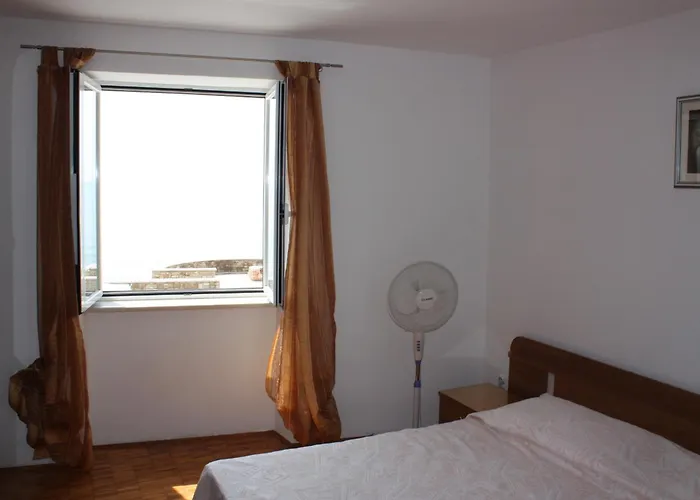 Tomato Novigrad (Istria)