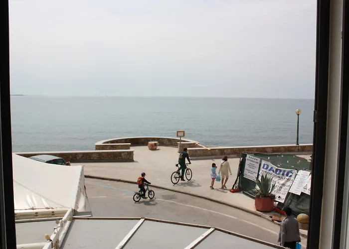 Tomato Novigrad (Istria)